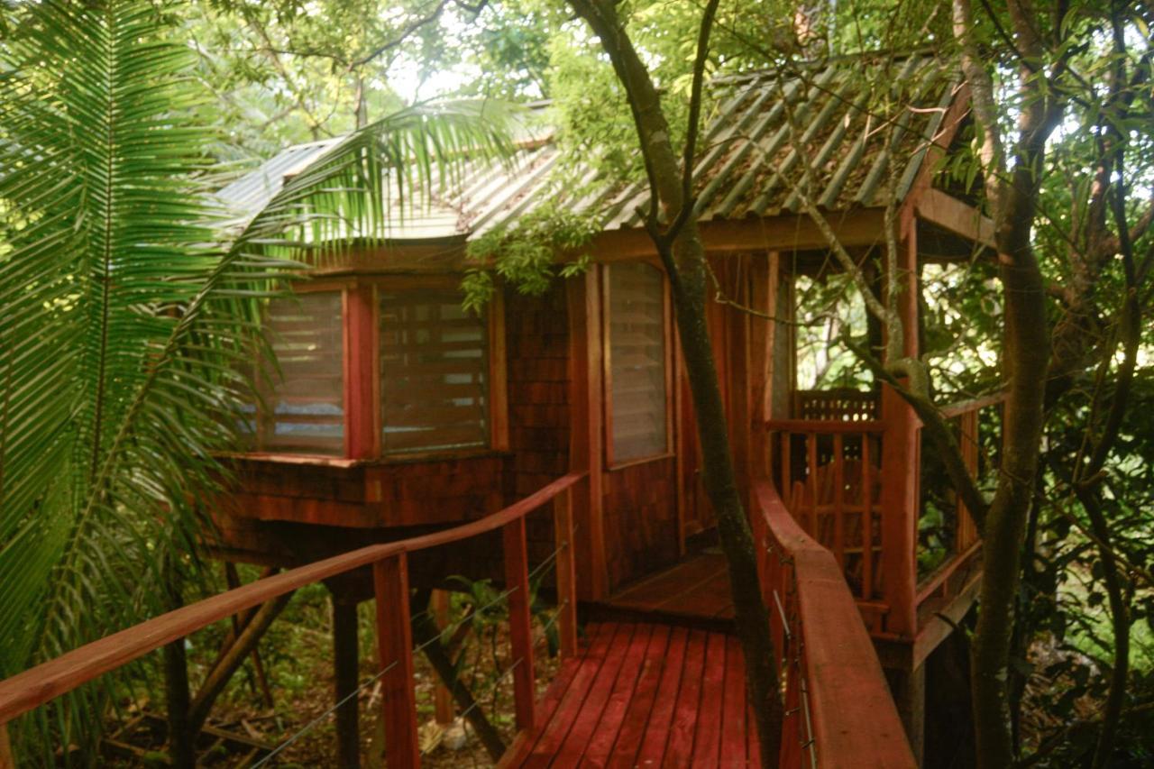 Tukulolo Treehouses Makaunga Extérieur photo