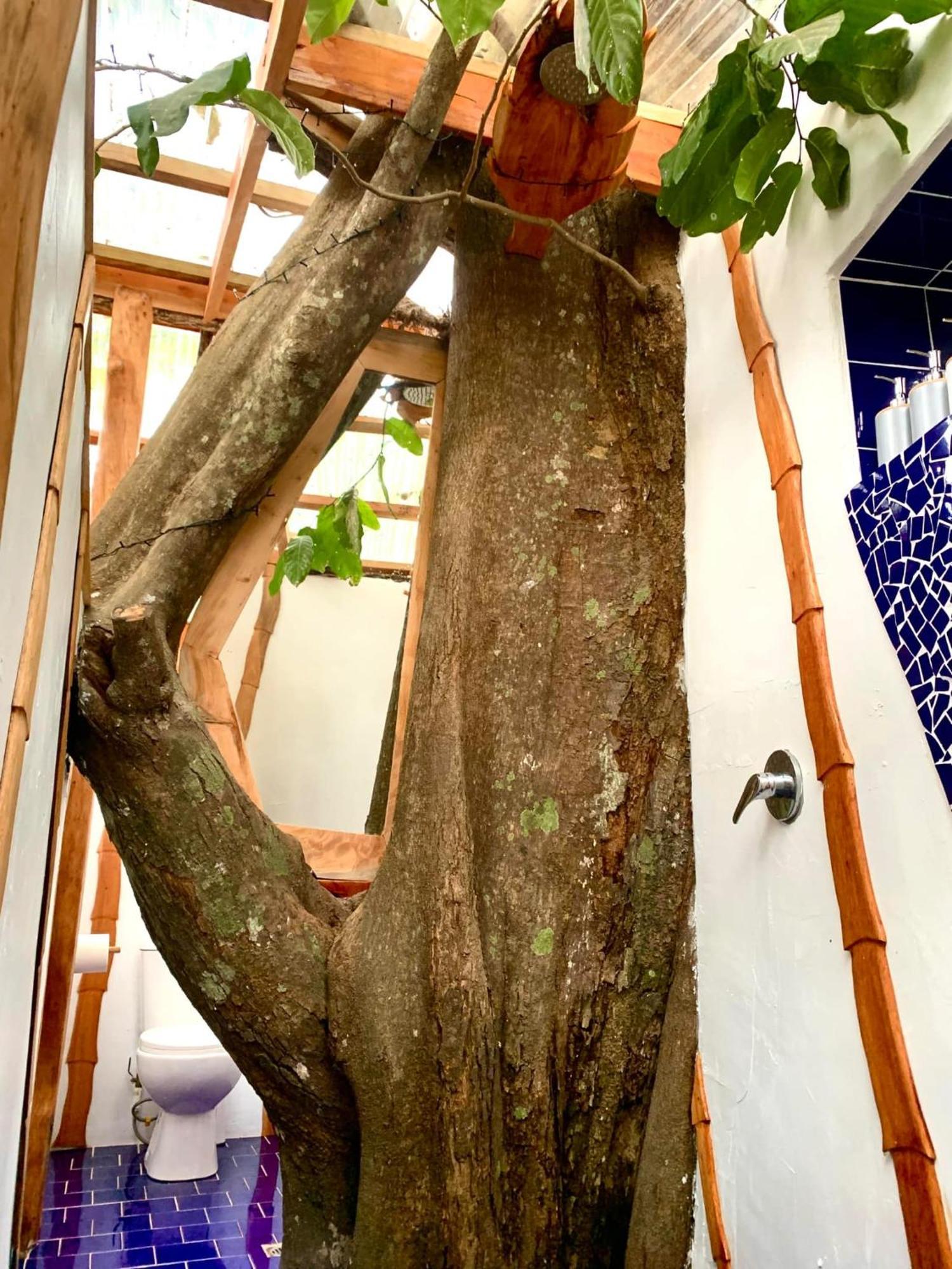Tukulolo Treehouses Makaunga Extérieur photo